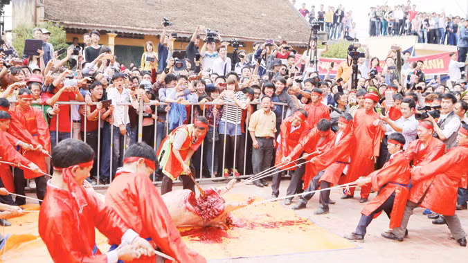 Cảnh chém lợn ở làng Ném Thượng (Bắc Ninh) ngày mùng 6 Tết Ất Mùi. Ảnh: Như Ý.