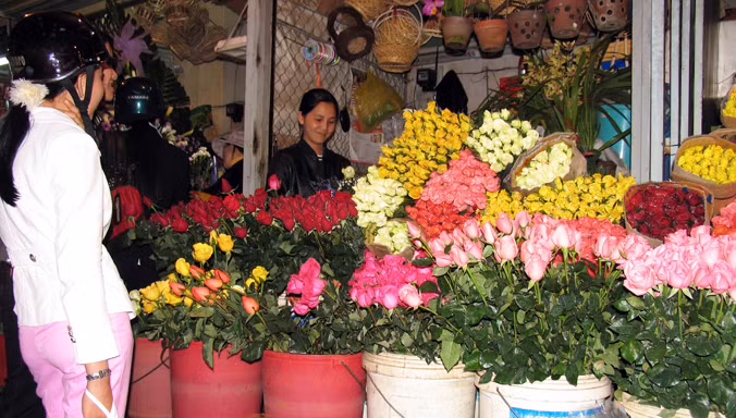 Hoa hồng Đà Lạt chủ yếu tiêu thụ nội địa.