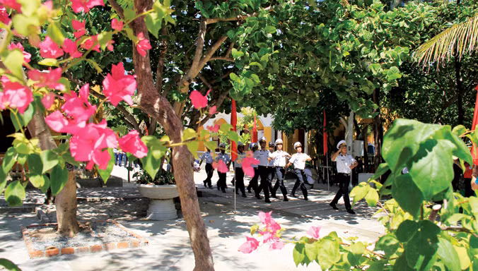 Hoa giấy trên đảo Sinh Tồn. Ảnh: Trường Phong