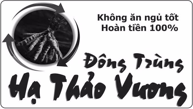 Mệt mỏi và Đông trùng Hạ thảo vương để ngủ tốt, ăn tốt