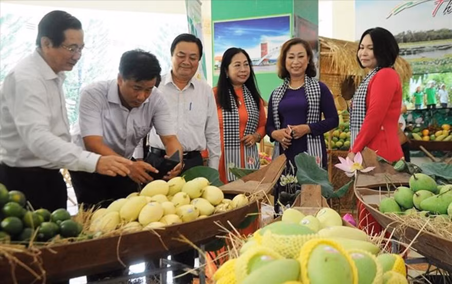 Lô xoài cát Hòa Lộc đầu tiên của Việt Nam từ tỉnh Đồng Tháp xuất khẩu sang Mỹ 