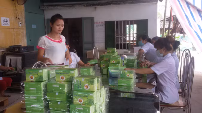 Lê Thị Tỉnh (đứng) bên các sản phẩm trà sản xuất từ những cây dược liệu.