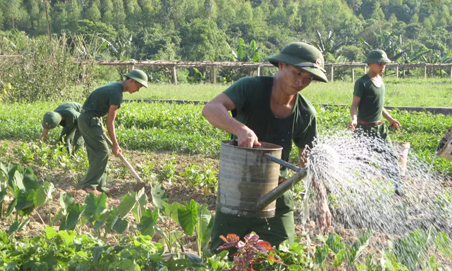 Chiến sĩ bộ đội tăng gia sản xuất. 