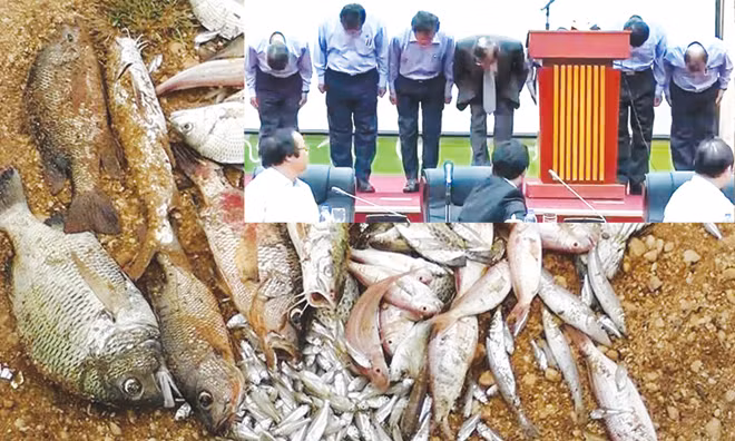Cá chết trôi dạt vào bờ biển Quảng Bình (ảnh lớn). Ban lãnh đạo Cty Formosa cúi đầu xin lỗi người dân, Đảng và chính phủ Việt Nam (ảnh nhỏ). Ảnh: PV.