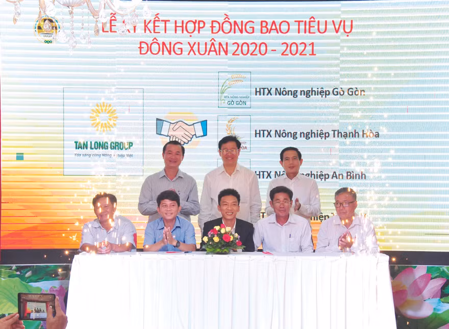 Tập đoàn Tân Long vừa ký kết bao tiêu với các HTX tại ĐBSCL với các loại lúa chất lượng cao 