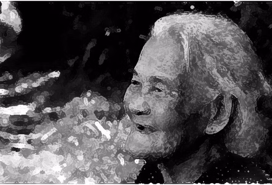 Minh họa: Đỗ Hùng