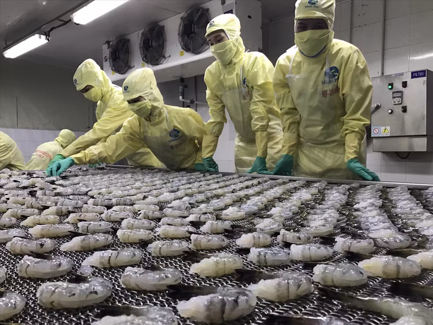 Thủy sản là 1 trong 7 mặt hàng xuất khẩu chính, nhưng trong tháng 7, kim ngạch đã giảm gần 6% so với tháng trước. Ảnh: Nam Khánh