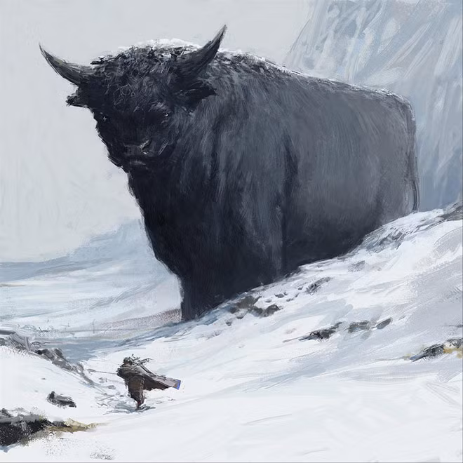 Bò rừng Gridungur của người Iceland