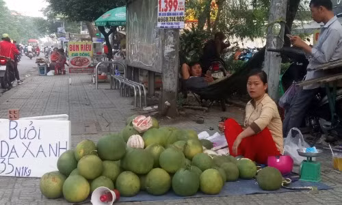 Bưởi da xanh giảm giá mạnh so với mọi năm. Ảnh: Hồng Châu. 