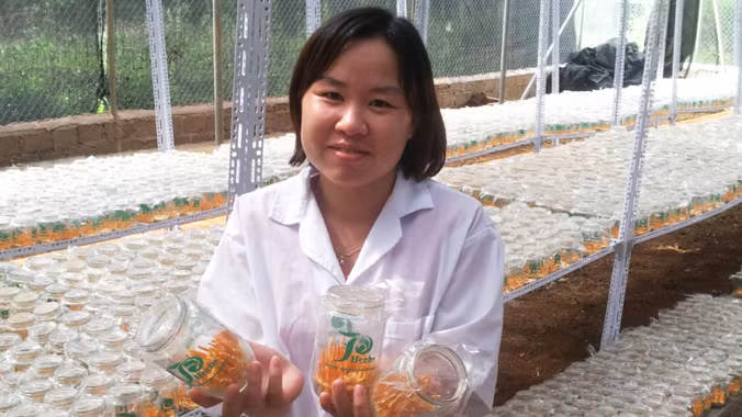Chị Nguyễn Thị Hồng, người bỏ ra gần 10 năm nghiên cứu và trở thành người đầu tiên tại Việt Nam nuôi trồng thành công đông trùng hạ thảo cordyceps militaris