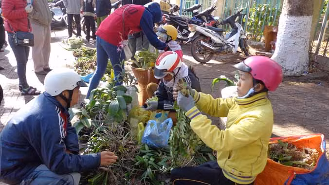 Gần tết, nhiều khách mua lan rừng