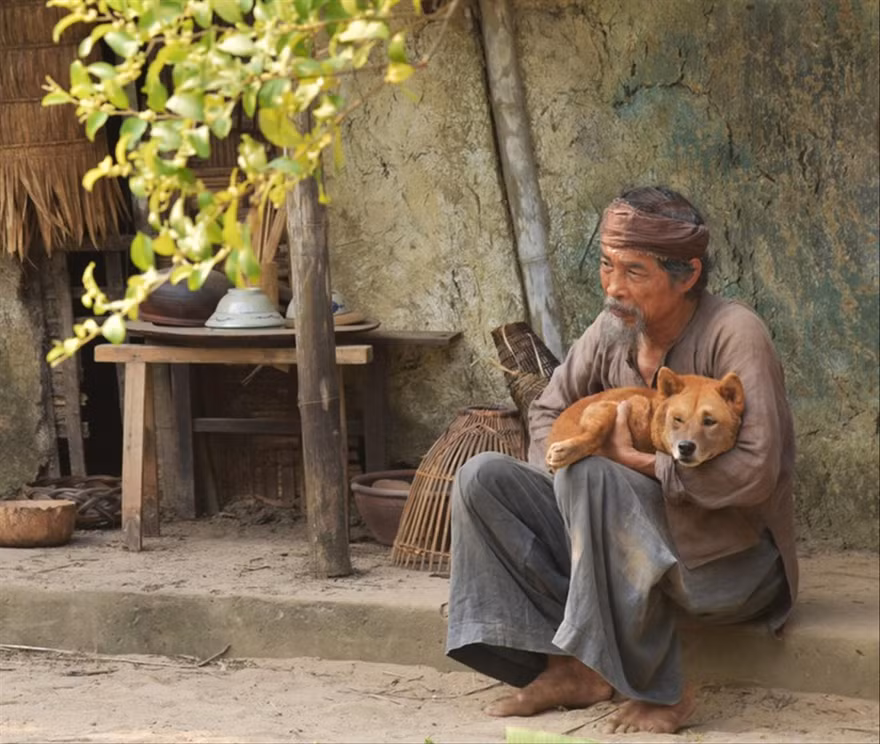 Nhân vật lão Hạc trong Cậu Vàng bị cho là đẫy đà một cách vô lý so với hoàn cảnh 
