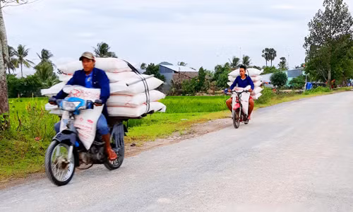 Những chiếc xe chở đầy hàng lậu 