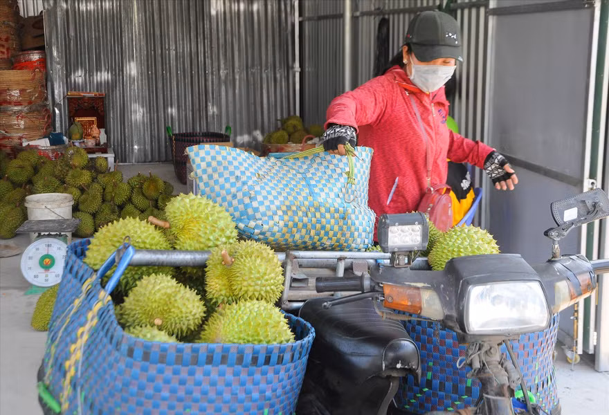 Hạ tầng logistics thiếu và yếu kìm hãm nông sản ĐBSCL 