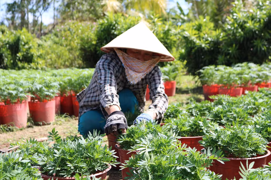 Bà Nguyễn Hoàng Yến đang chăm sóc hoa ẢNH: KIM HÀ