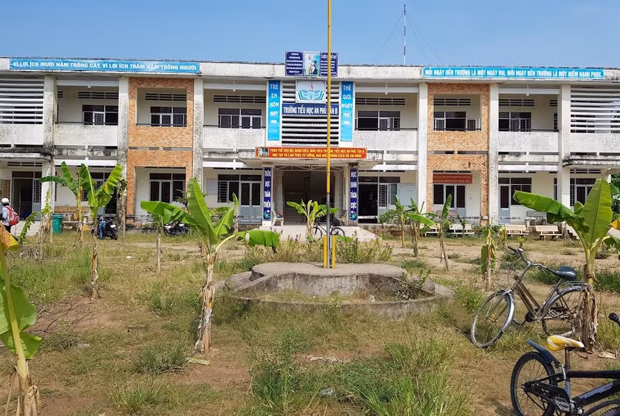 Sân của Trường Tiểu học An Phú Tân B được trồng đầy chuối khiến học sinh không có nơi vui chơi