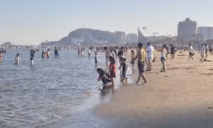  Sâu biển dày đặc, nhiều du khách đến Vũng Tàu ngao ngán