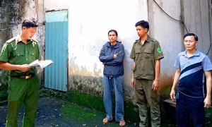 Dàn cảnh mua bán dâm, dùng vũ lực đe dọa ép khách vào quán nước để cưỡng đoạt tài sản