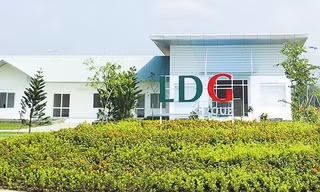 LDG nói gì về cổ phiếu tăng trần 10 phiên liên tục?