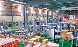 Lý do nhân sự cấp cao nhiều doanh nghiệp rời 'ghế nóng'