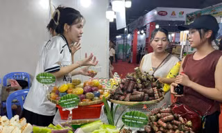 TPHCM 'hái ra tiền' ngày cuối tuần cách nào? 