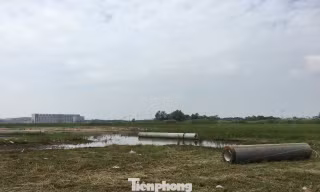 Cách nào giảm thuế sử dụng đất cho người dân?