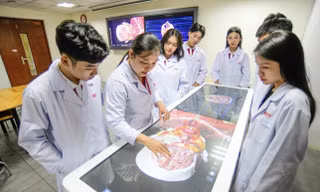 Ngưỡng bảo đảm chất lượng đầu vào nhóm ngành Sức khỏe ở phía Nam