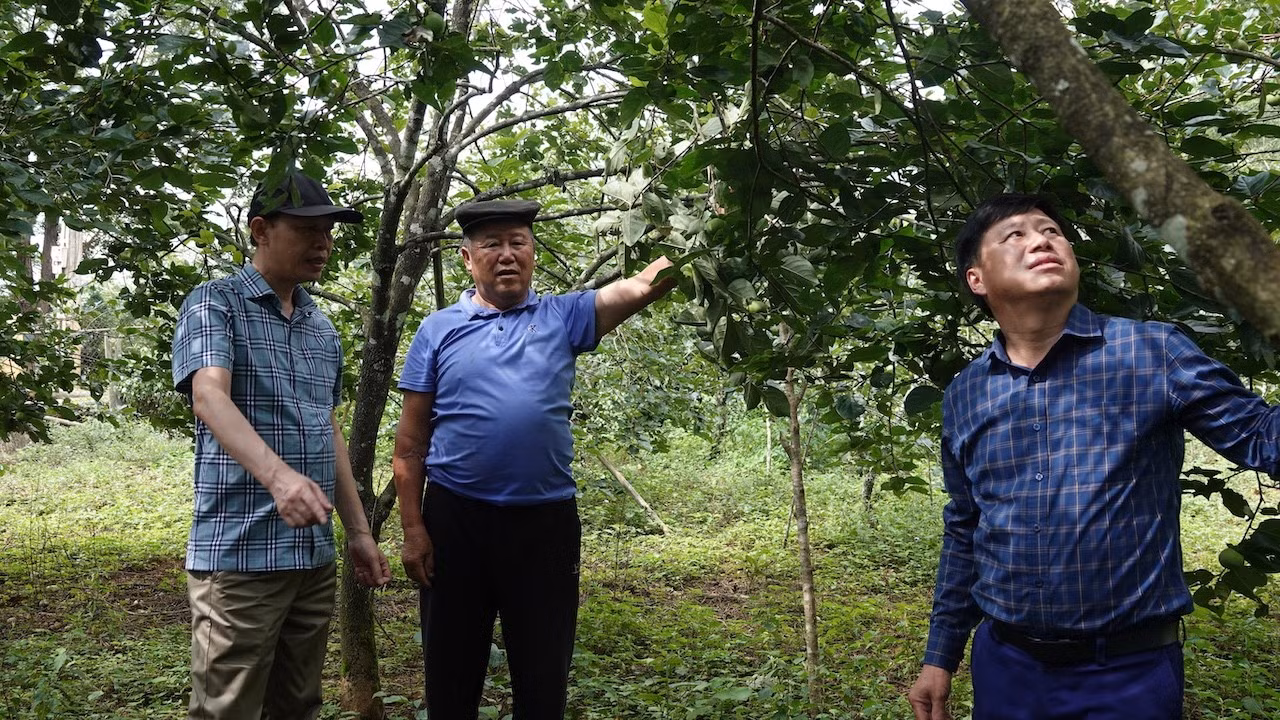 ong-thao-nha-cua-ban-hua-khat-xa-nam-khat-cung-lanh-dao-xa-tham-vuon-hong-gion-cua-gia-dinh.jpg