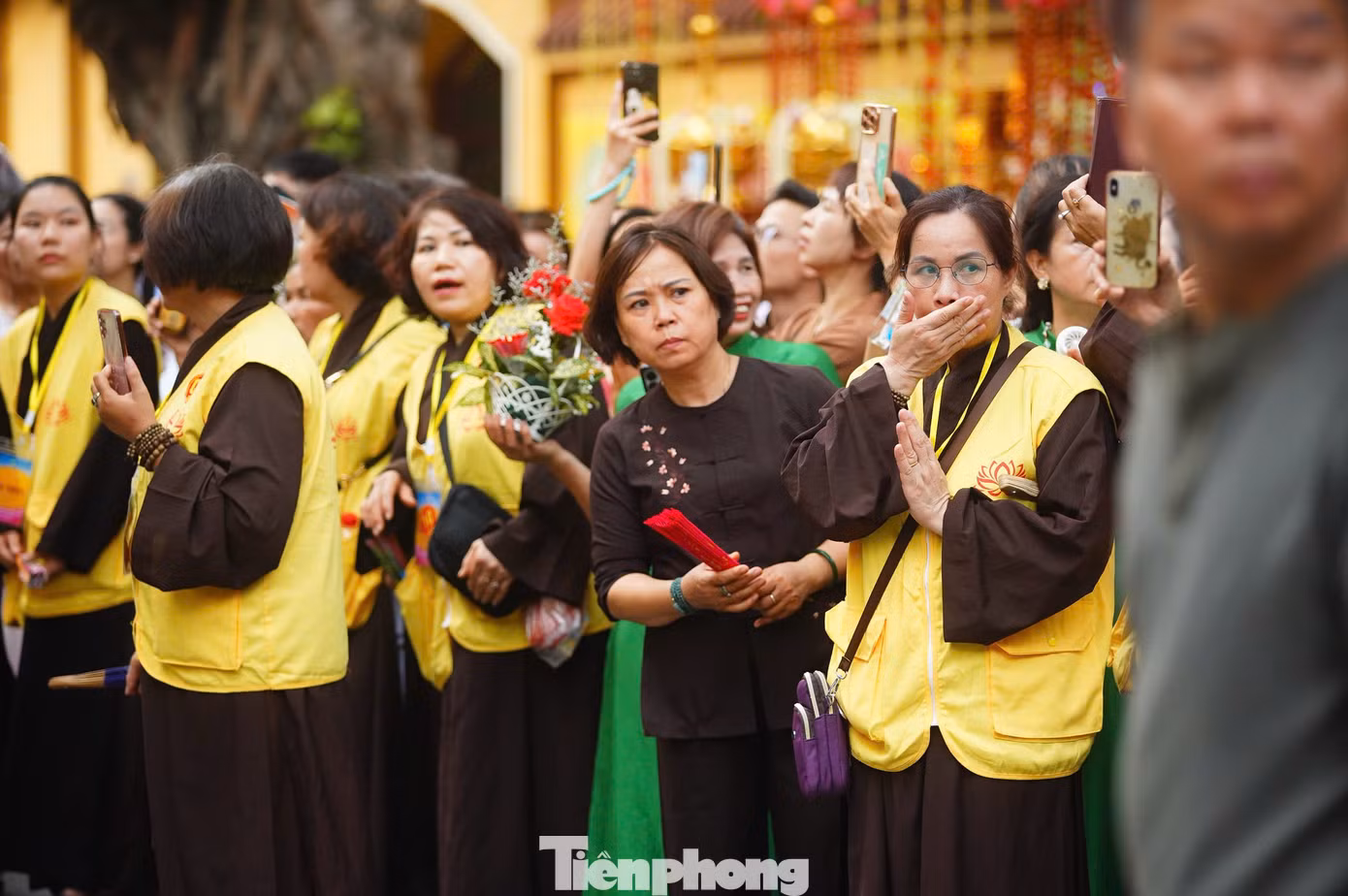 tp-xaloi50.jpg