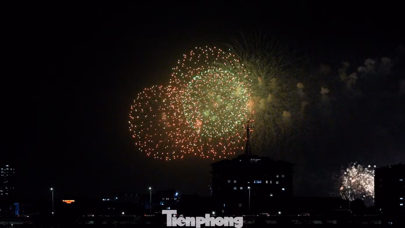 tp-phaohoasvd24.jpg