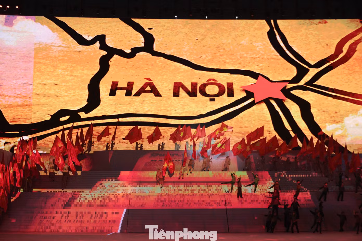 tp-showchinh56.jpg