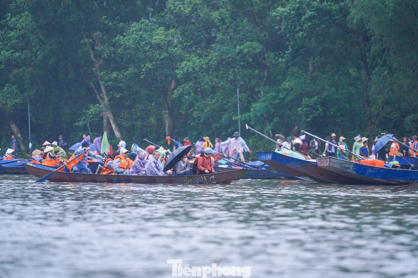 tp-donghuongtich39.jpg