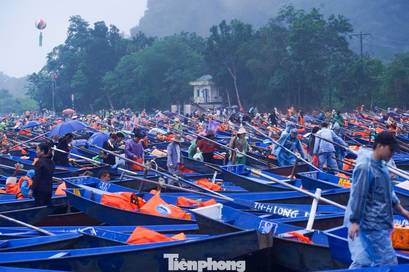 tp-donghuongtich24.jpg
