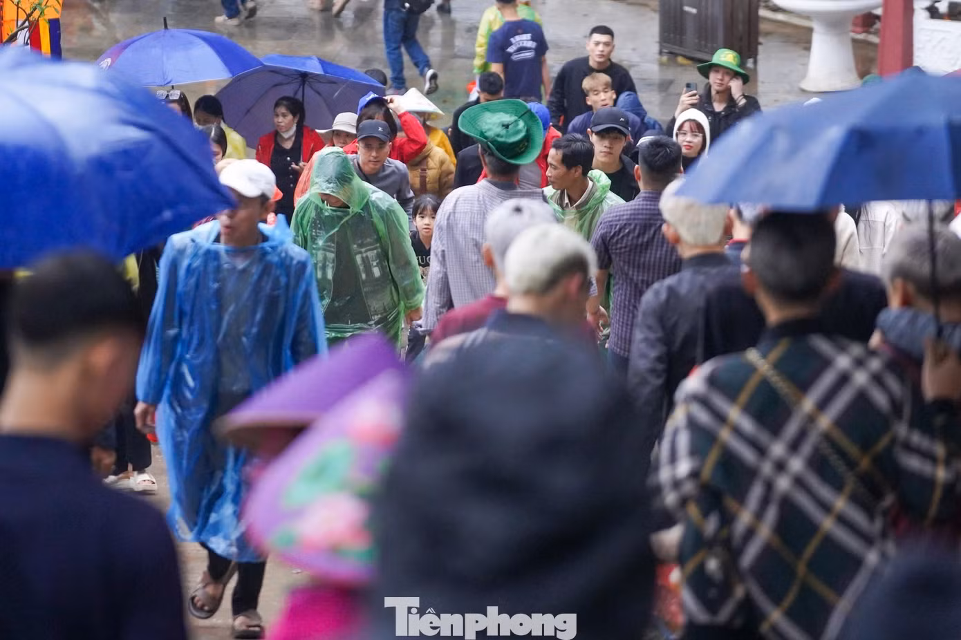 tp-donghuongtich16.jpg