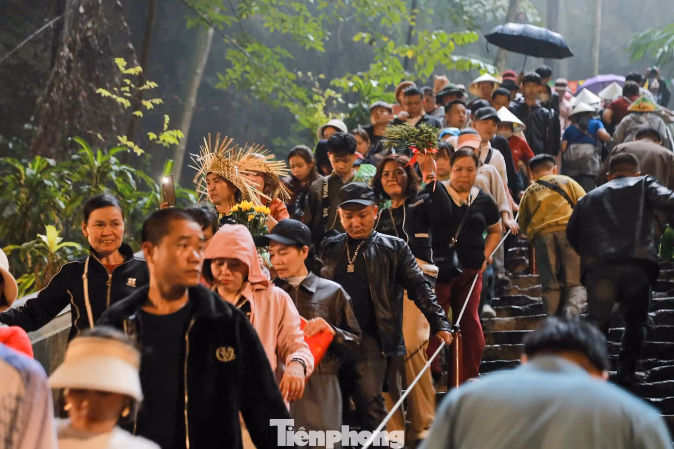 tp-donghuongtich54.jpg