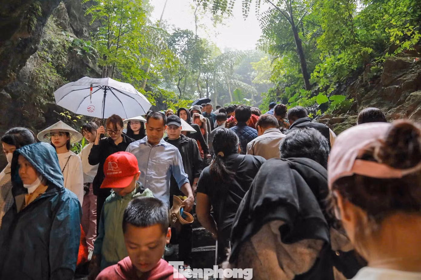 tp-donghuongtich55.jpg