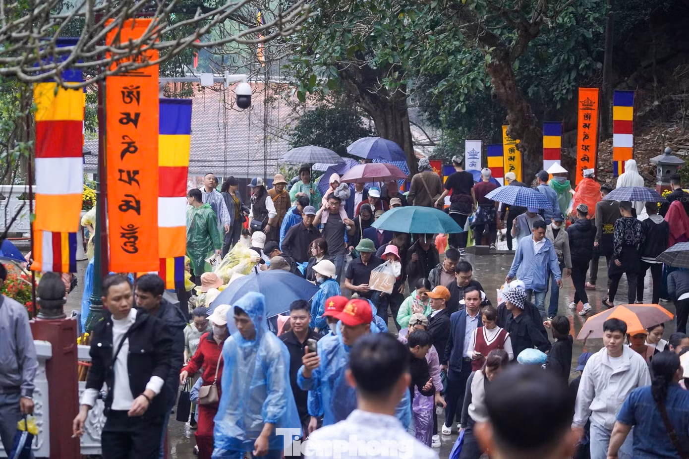 tp-donghuongtich17.jpg