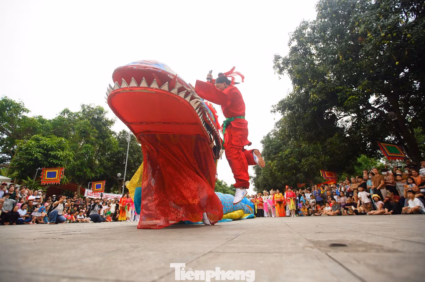 tp-ranlm60.jpg