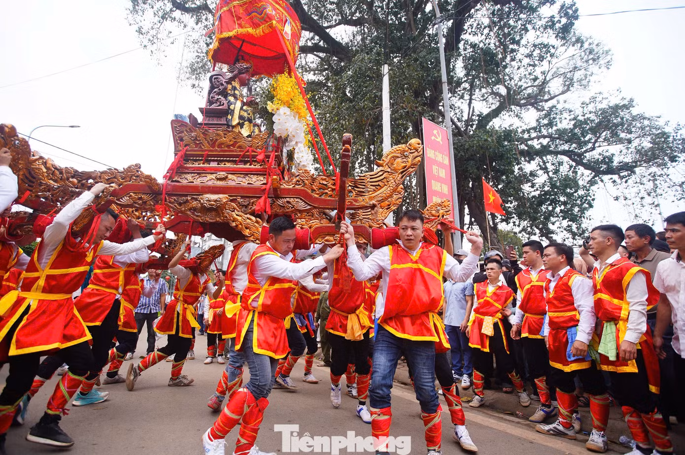tp-thuonglamtrang8.jpg