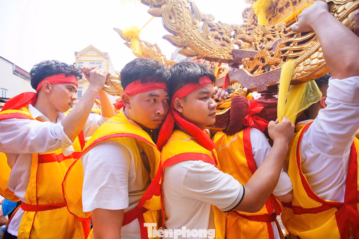 tp-thuonglamtrang47.jpg