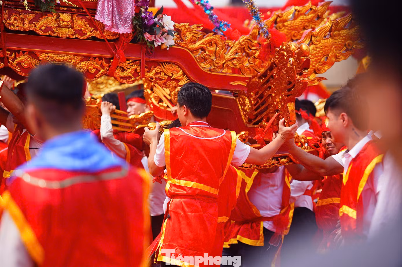 tp-thuonglamtrang58.jpg