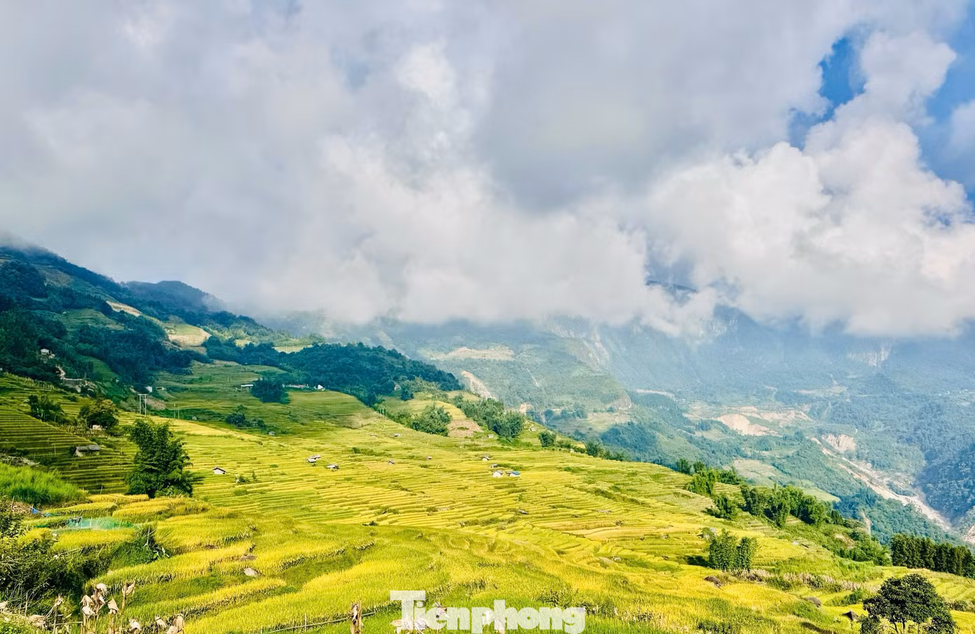 tp-y-ty-may-789.jpg