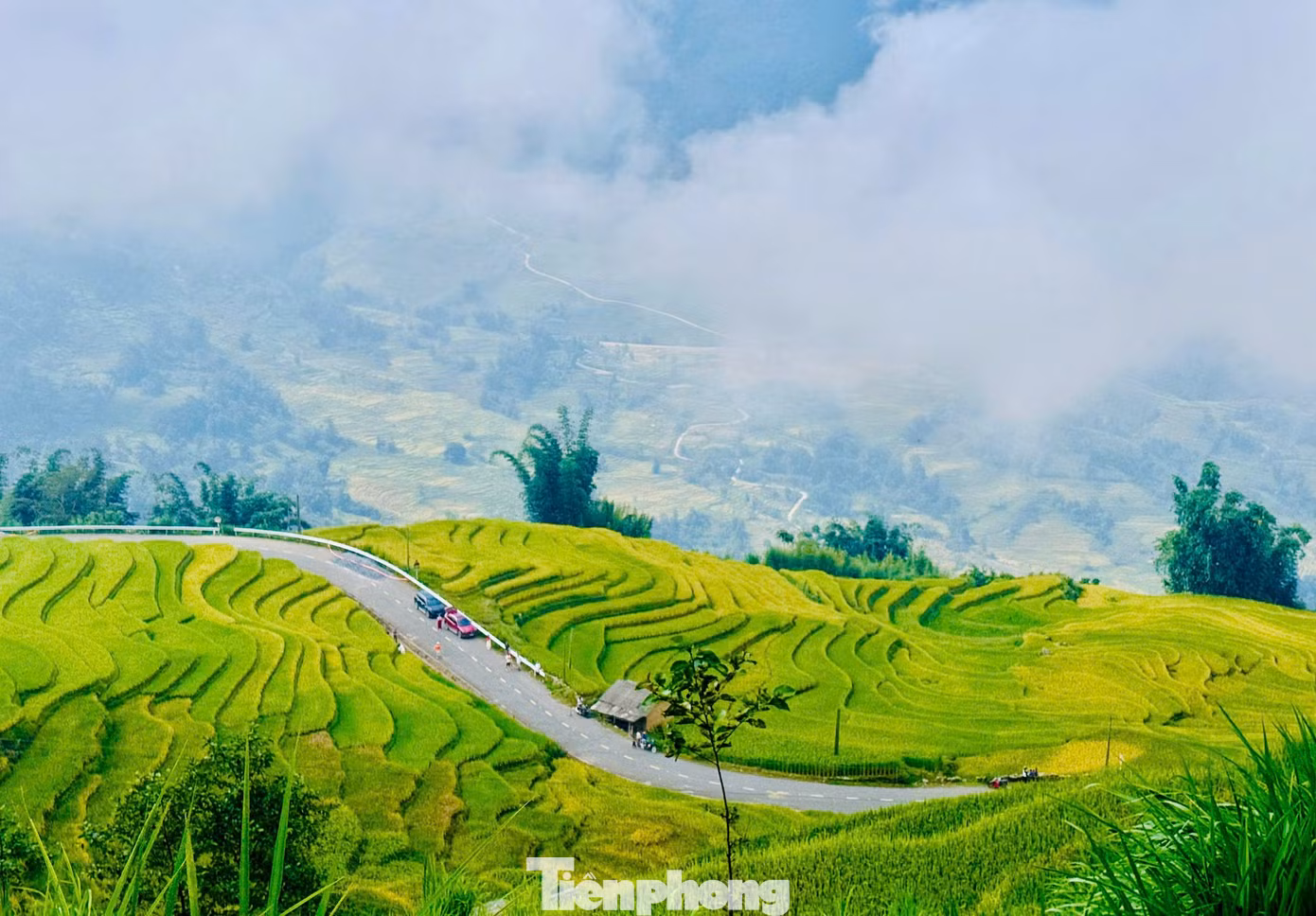 tp-may-y-ty-3.jpg