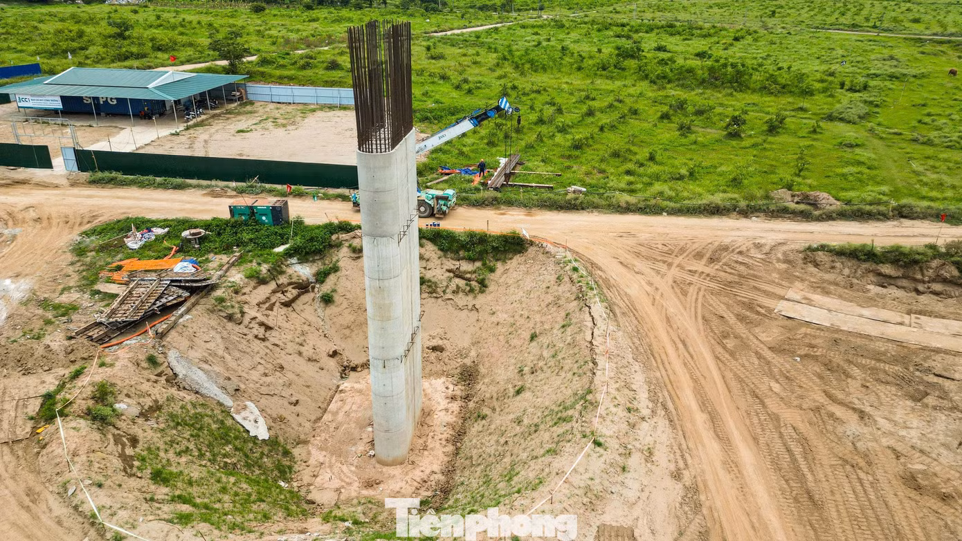 tp-c24.jpg