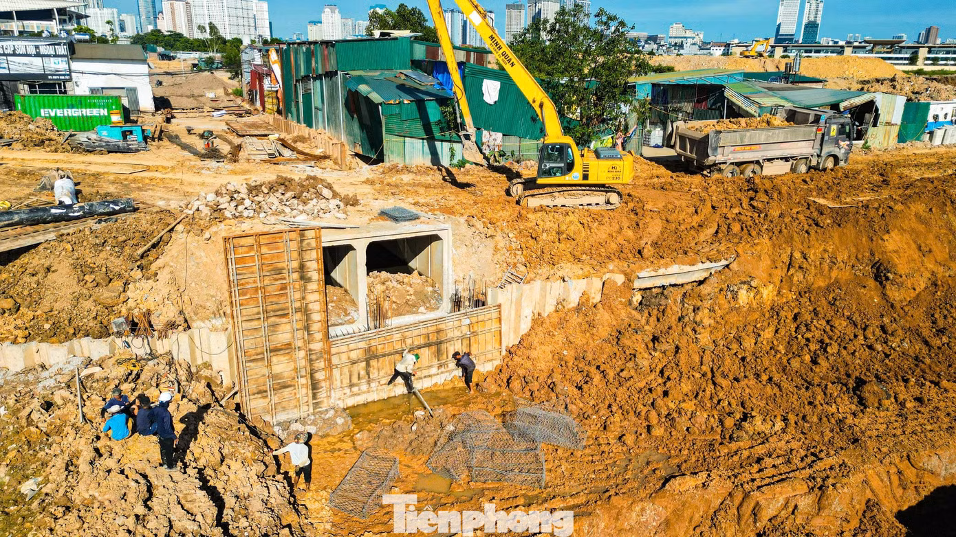tp-d24.jpg