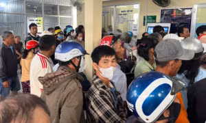 Thông tin hoa và cây kiểng phải có giấy tờ về nguồn gốc mới được vận chuyển, mua bán là tin đồn thất thiệt