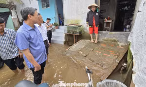 Chủ tịch Cần Thơ lội nước khảo sát dự án mở đường đình trệ nhiều năm