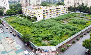 Cơ sở lúng túng với thủ tục đất đai, Cục Quản lý đất đai đề xuất tháo gỡ