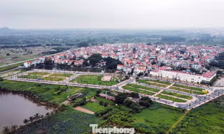 Nâng tiền đặt cọc lên 50%, đất đấu giá diễn biến ra sao?