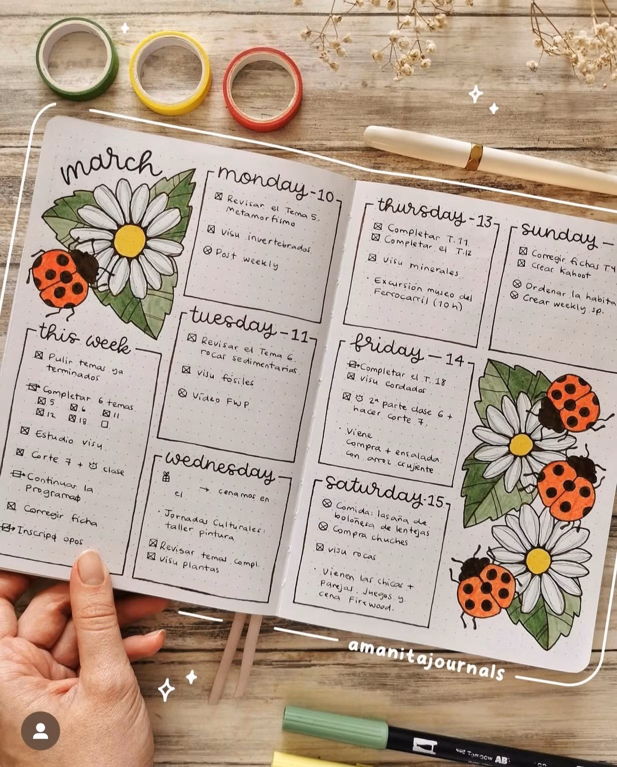 bujo-1jpg.jpg